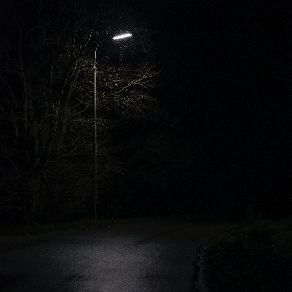 lasse moller unsplash