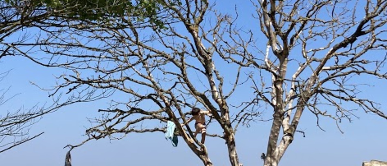 Who Climbs Who