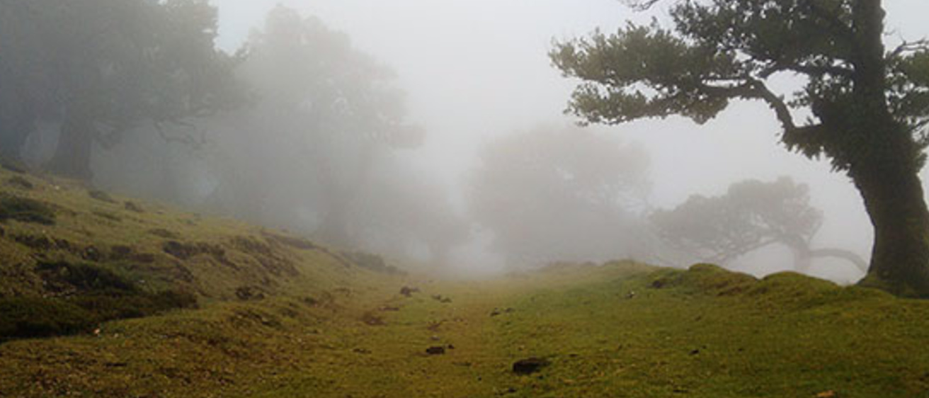 mist