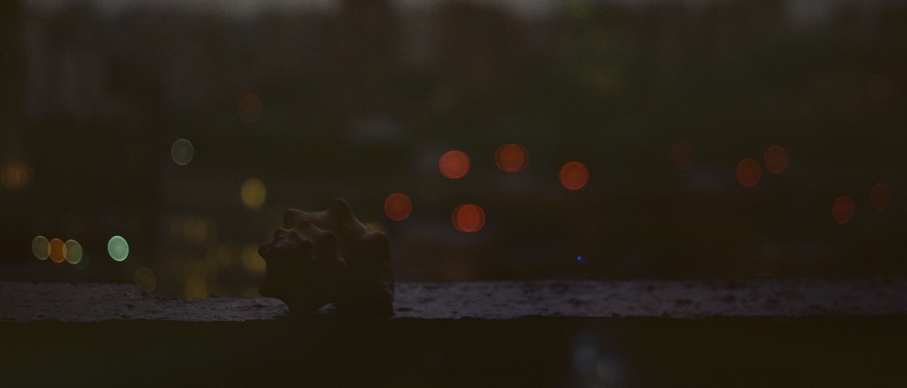 Photo by Anna Zalevskaya