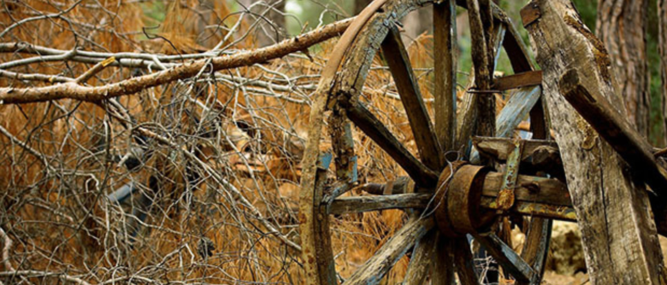 wheel