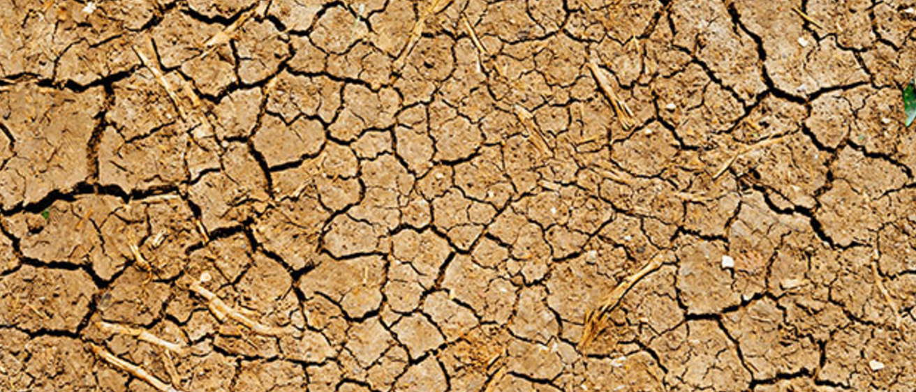 desert