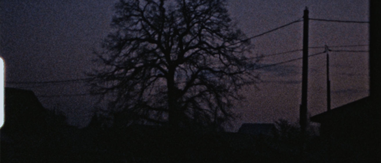 silhouett