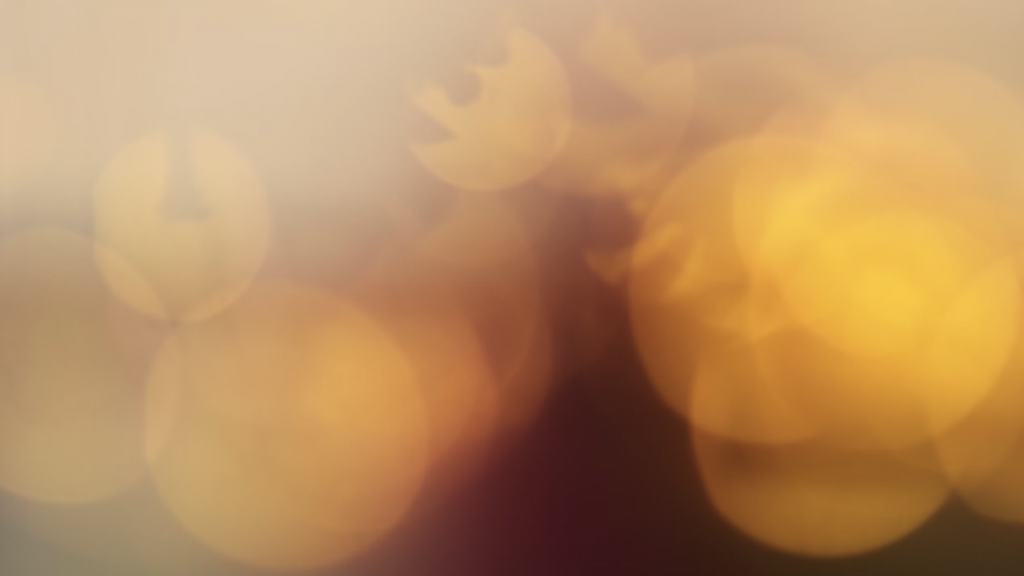 Amjd Rdwan via Unsplash
