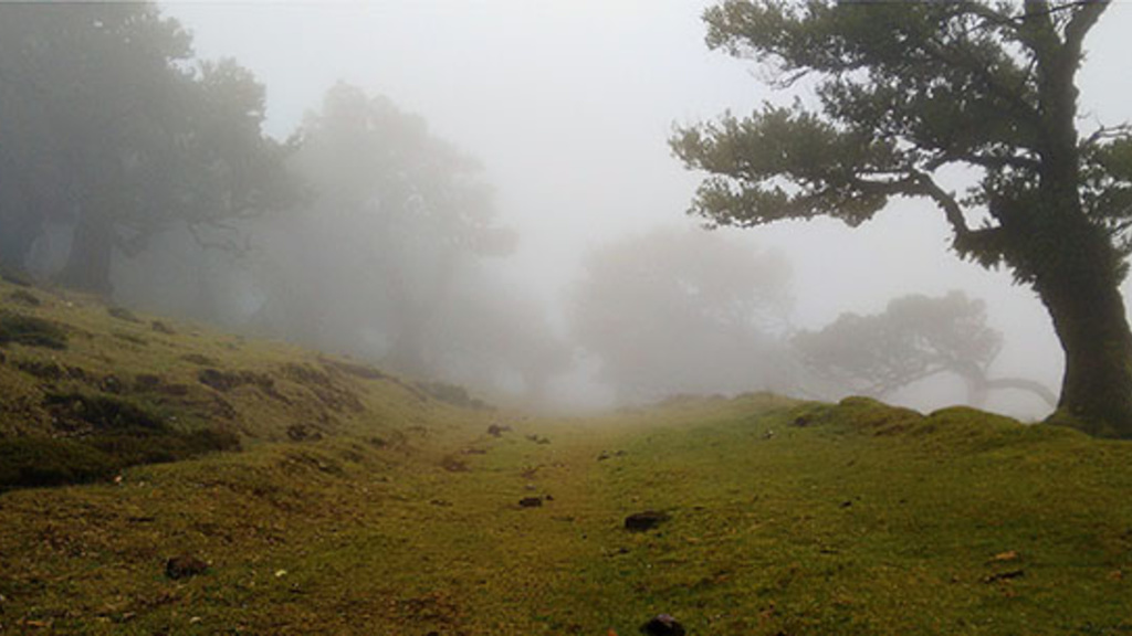 mist