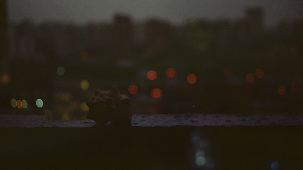 Photo by Anna Zalevskaya