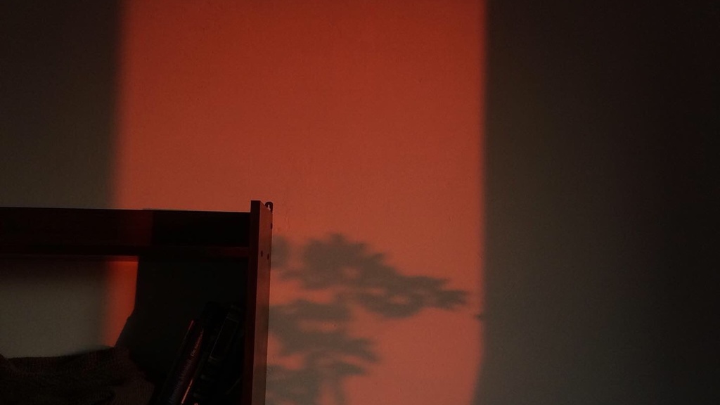  Photo by Anna Zalevskaya