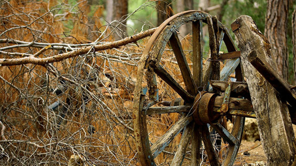 wheel
