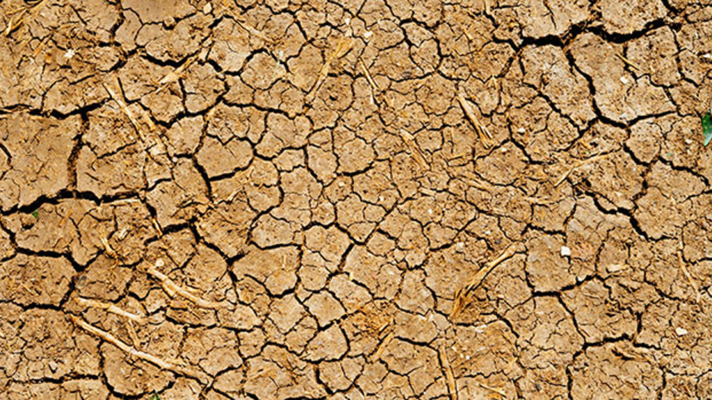 desert